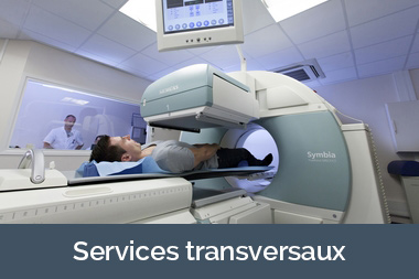 Services transversaux